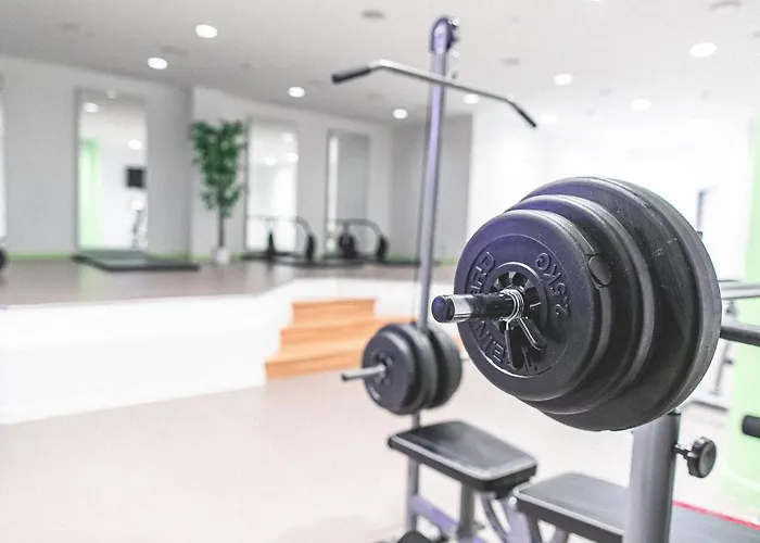 فندق بلازا هاناو 3*