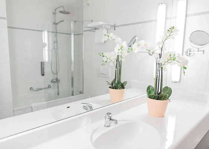 بلازا هاناو 3* هاناو الماين