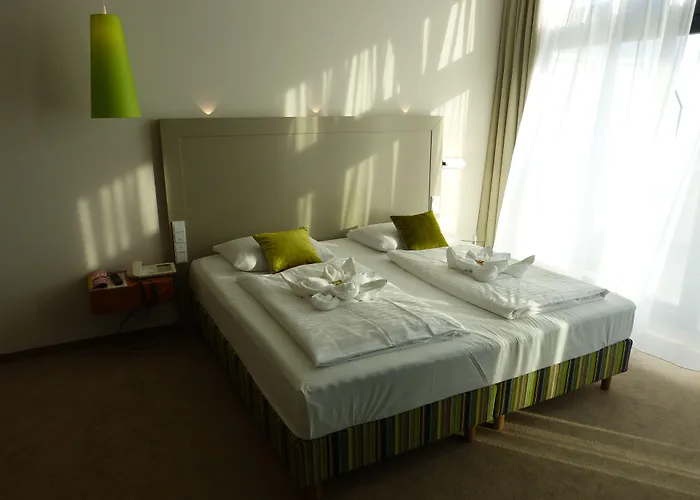 فندق بلازا هاناو هاناو الماين