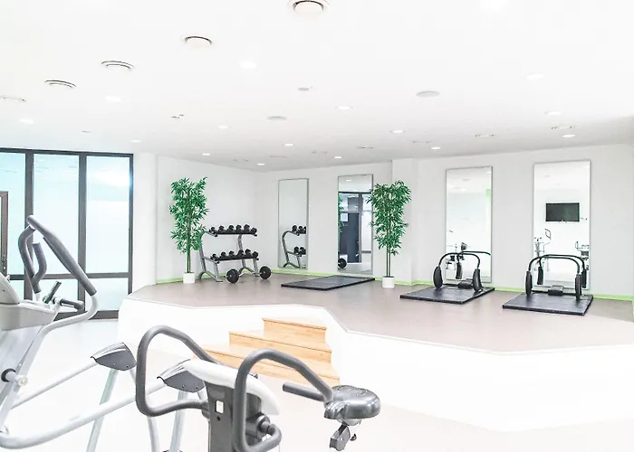 بلازا هاناو فندق